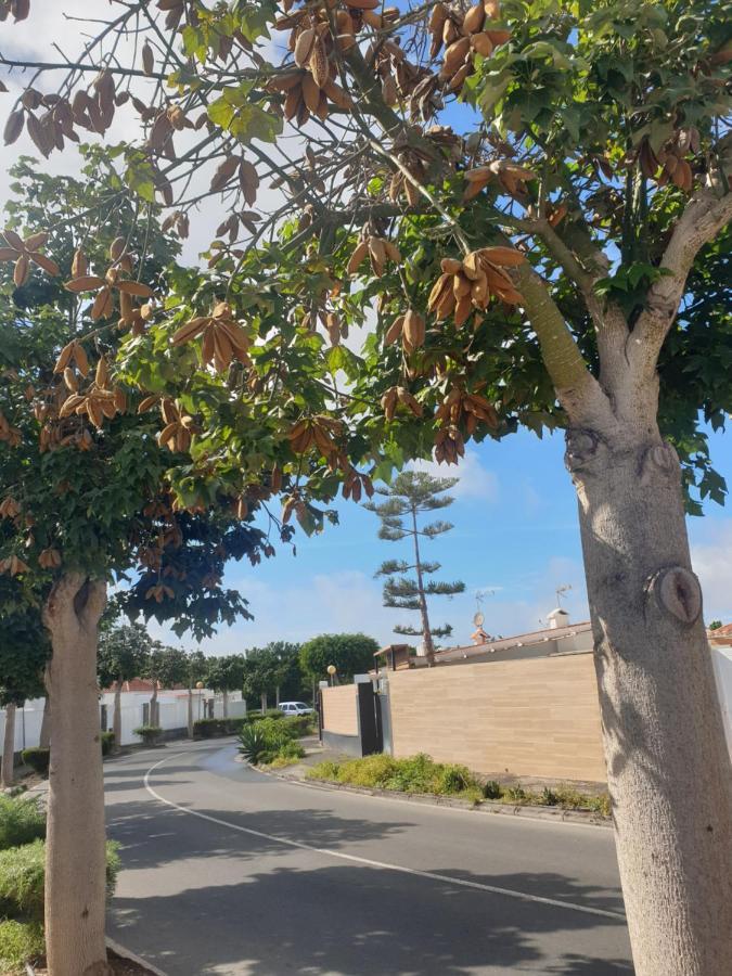 El Caramelito 1 Villa Maspalomas  Exteriör bild