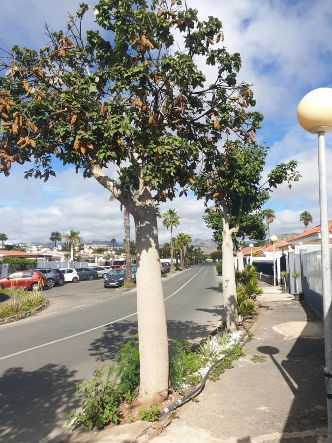 El Caramelito 1 Villa Maspalomas  Exteriör bild